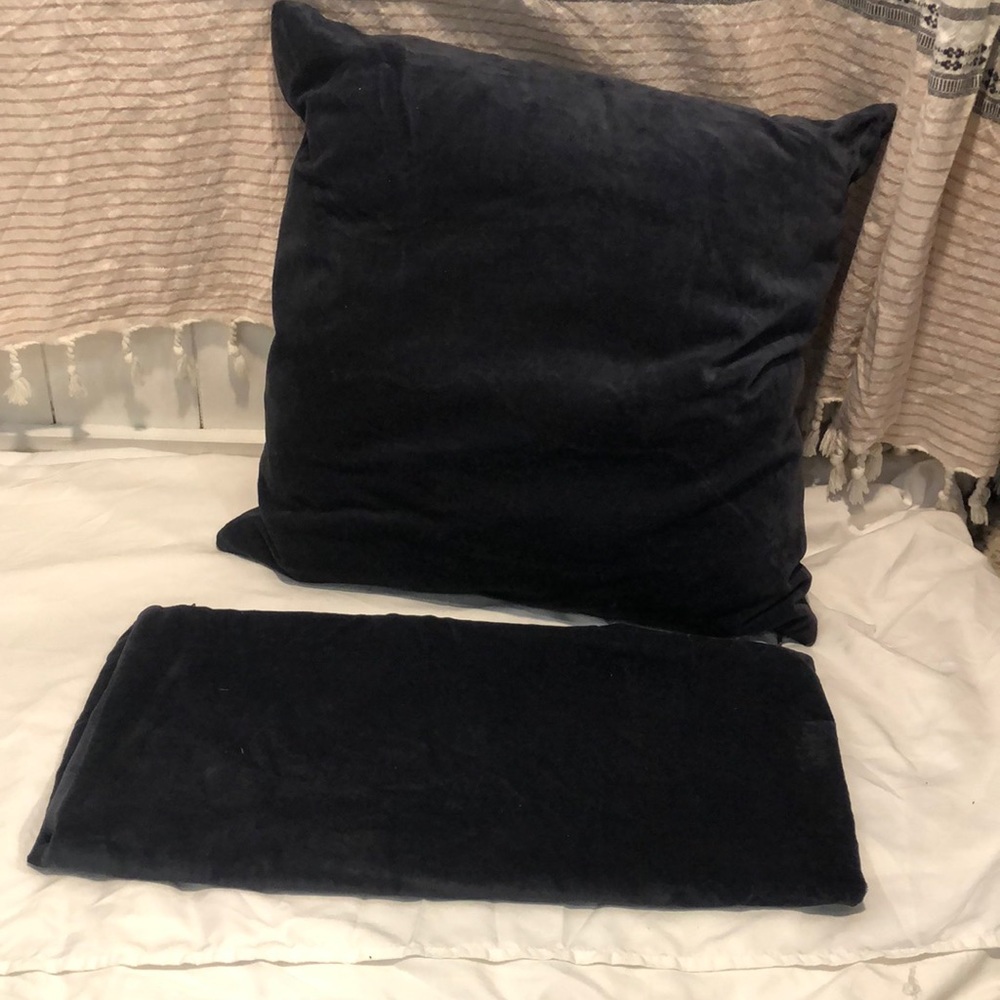 2ct Navy pillow covers